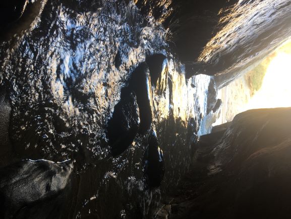 jsv;ujreap ariu ruhfp urfh peruf heiruj 